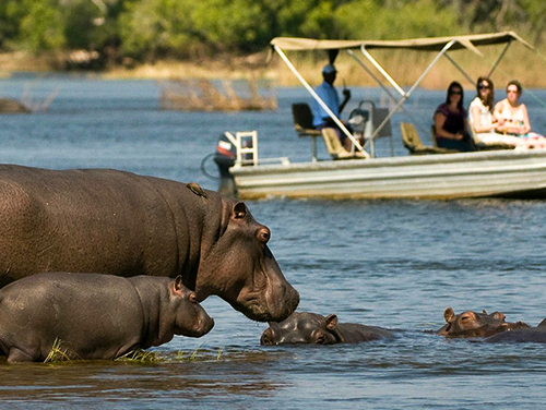 Chobe National Park 
