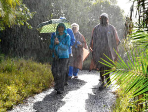 Guided Tour Of the Falls